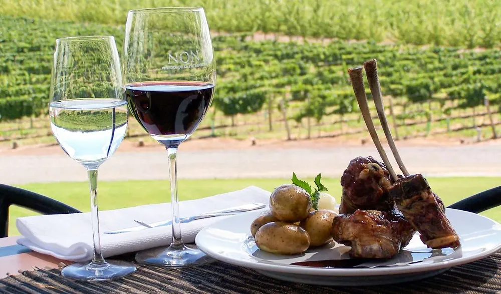 WEB-TERCERA-bodega-Vinos-Viñedos-bodegas-san-patricio-del-chañar_0969