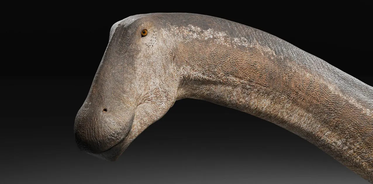 WEB-Gentileza-Museo-Ernesto-Bachmann-1