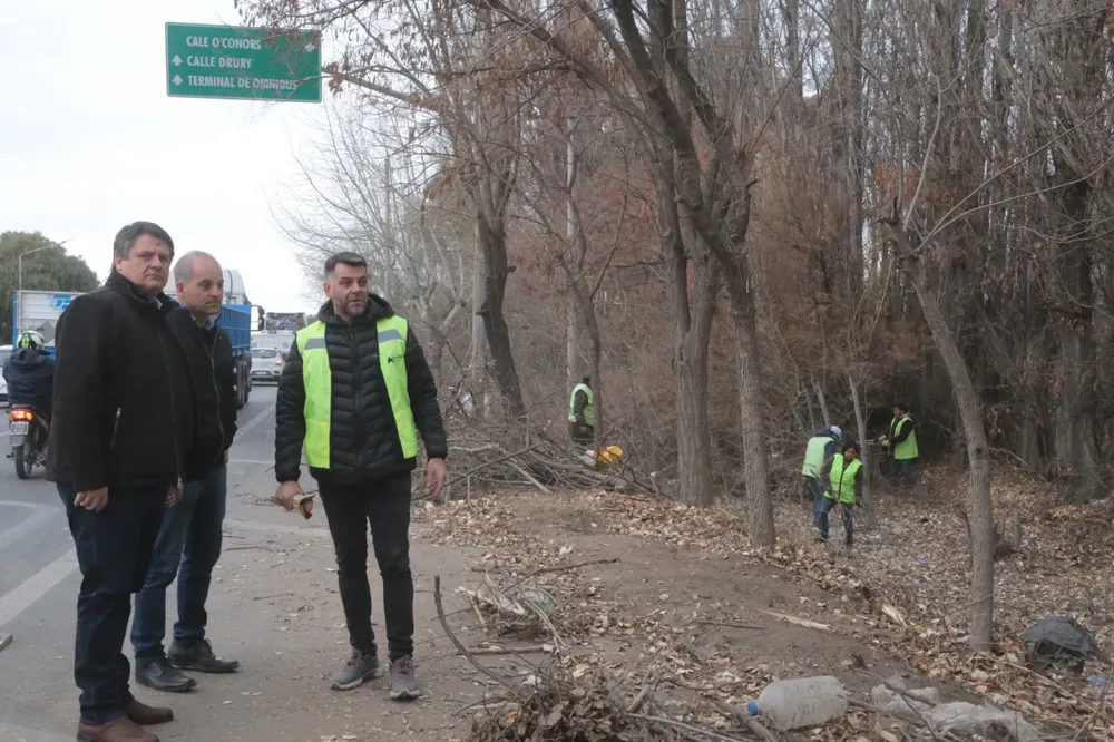 WhatsApp-Image-2025-07-24-at-17.39.00