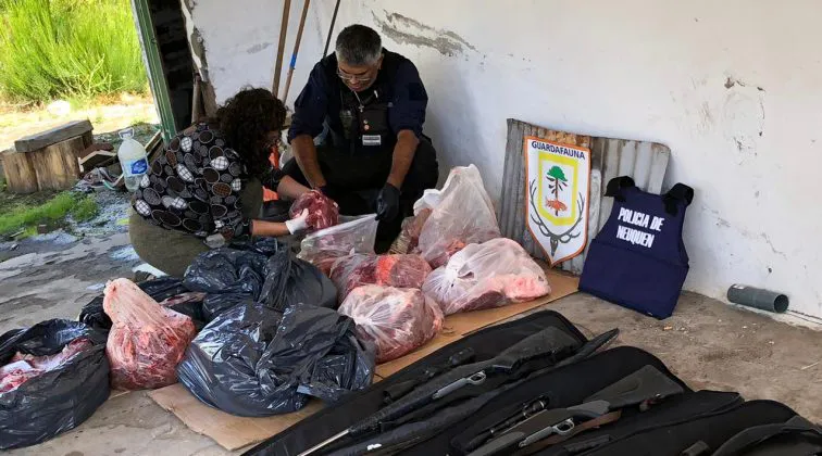 web-DECOMISO-GUARDA-FAUNA-28-756x420