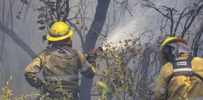 incendio bolson