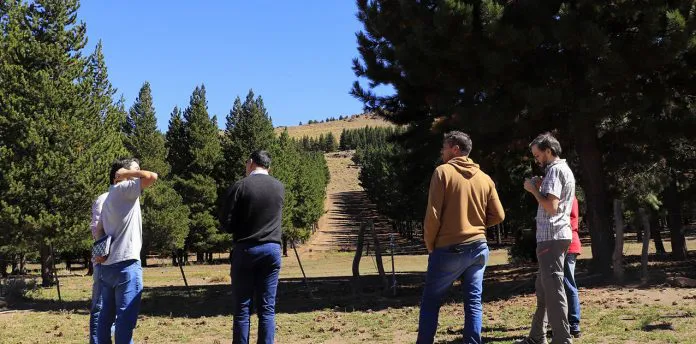 web-Turismo-trabaja-en-proyectos-junto-al-Copade-en-la-Region-Norte-Neuquina-5-696x344