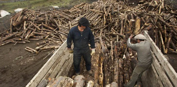 OPERATIVO-LENA-BIS-9-696x344