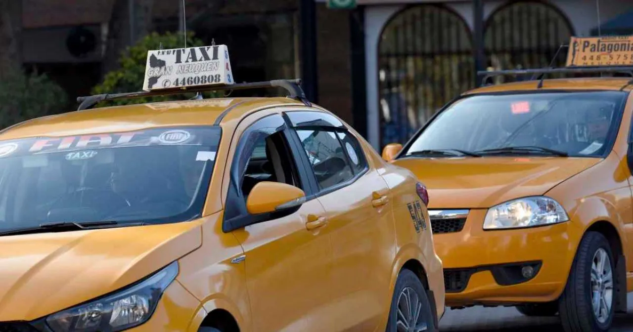 taxis neuquen
