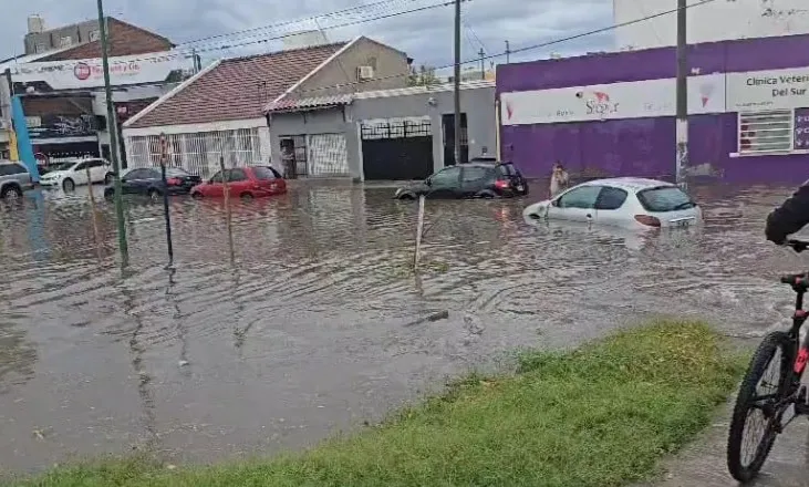 neuquenagua