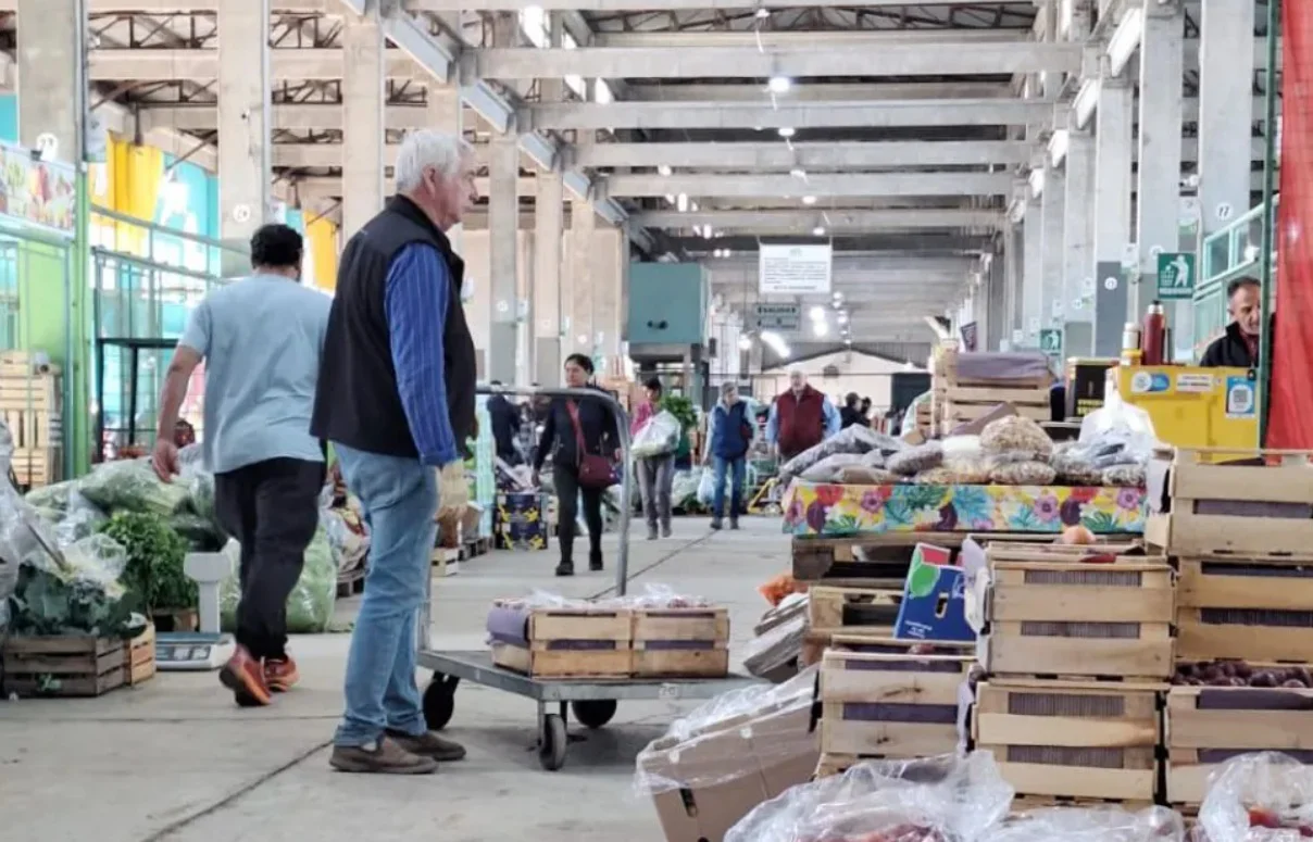 mercado concentrador 1