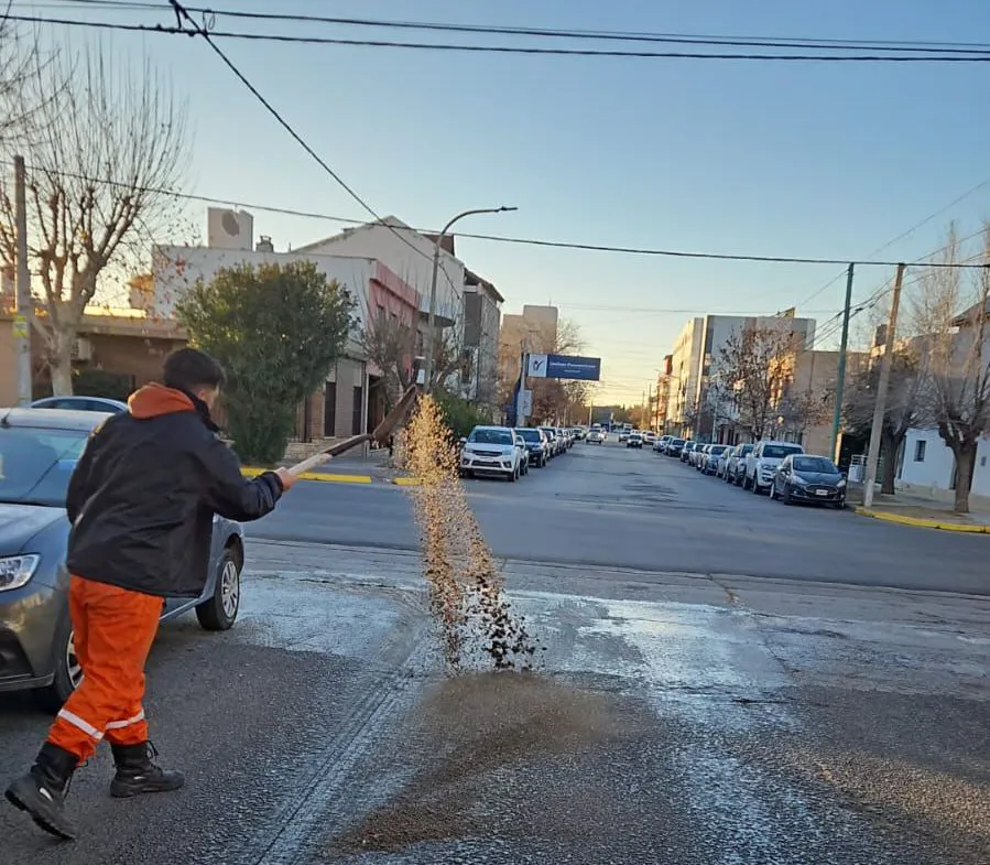 WhatsApp-Image-2025-06-24-at-09.33.06