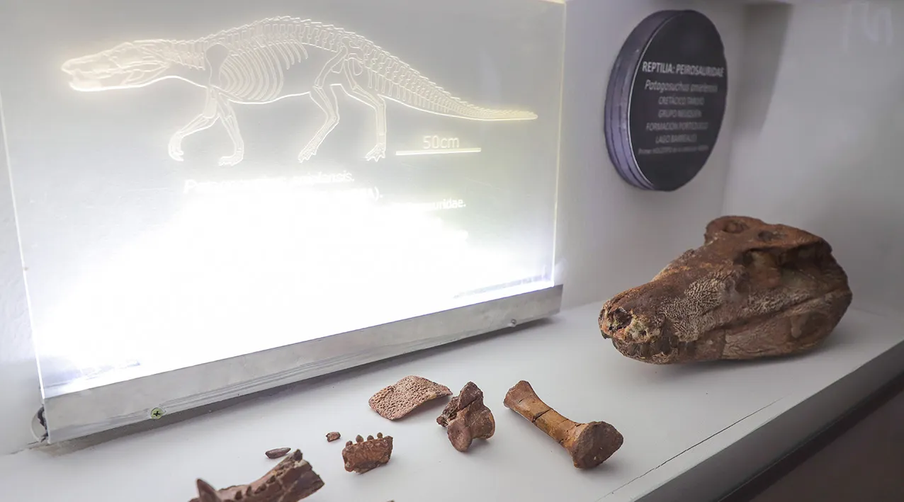 web-Museo-desierto-patagonico-6264