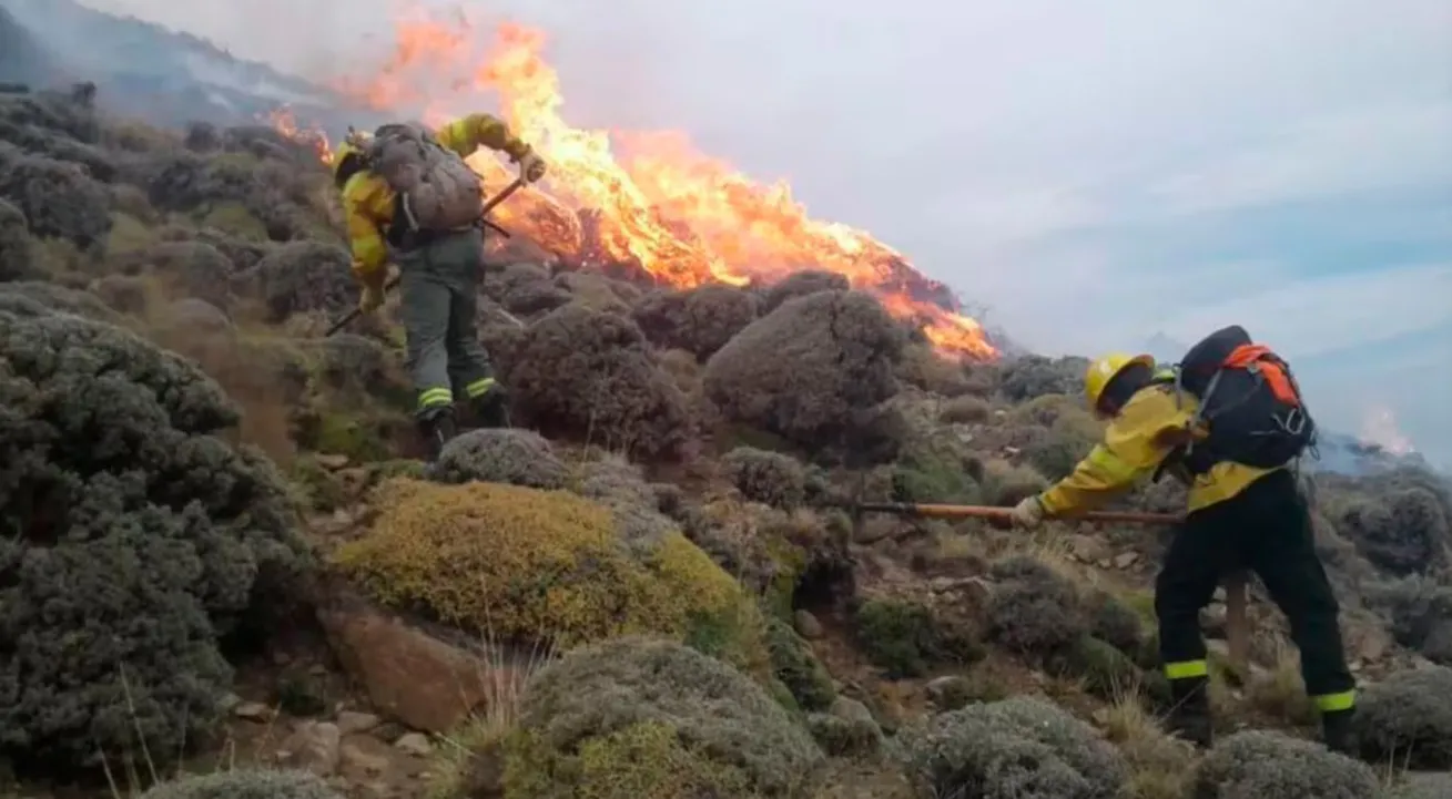 incendios chubut 3
