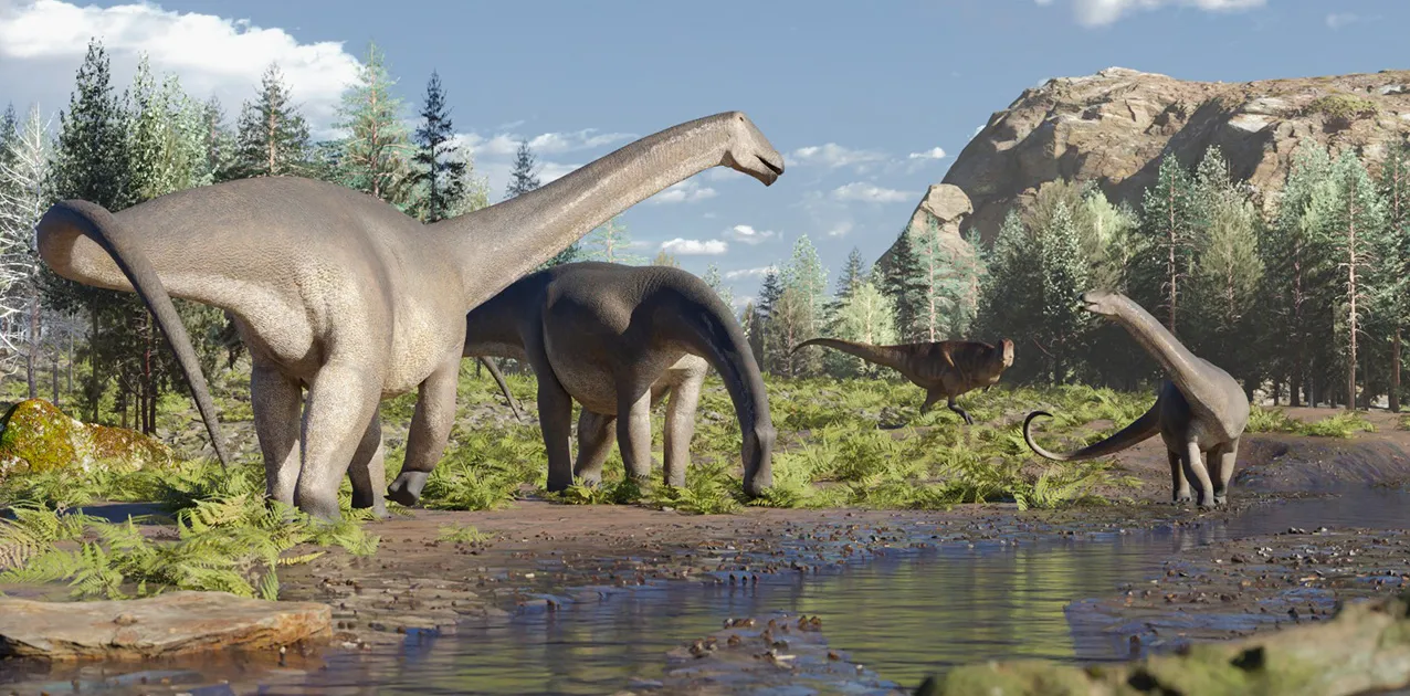 WEB-Gentileza-Museo-Ernesto-Bachmann-4